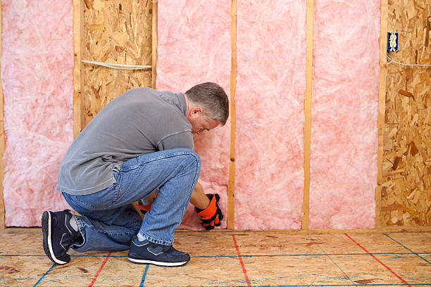 Best Energy Efficiency Insulation in Hampton, IA